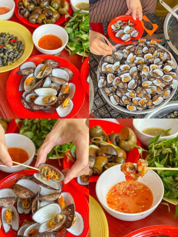  Top 10 Quán Ốc Đông Khách Nhất Buổi Chiều Tối Tại Nha Trang – Dân Local Hay Ăn