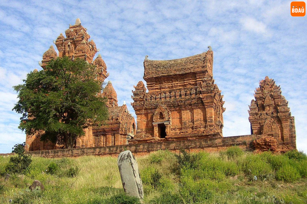  Văn Hóa Ẩm Thực Phan Rang – Tháp Chàm: Hương Vị Nắng Gió & Di Sản Chăm