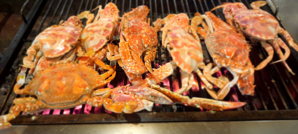 Nhà hàng Hải Âu - Hòn Cò Cà Ná