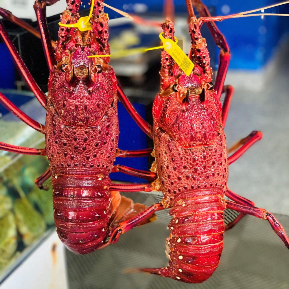 Hải Sản Mộng Ước