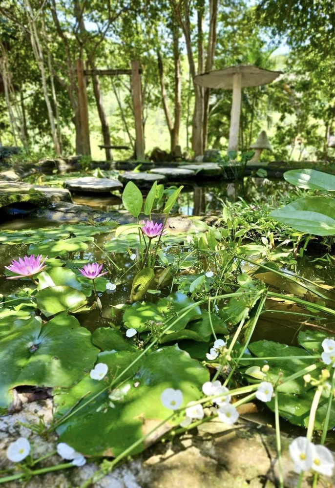 Nhà hàng - TDC Suối Đá Hòn Giao