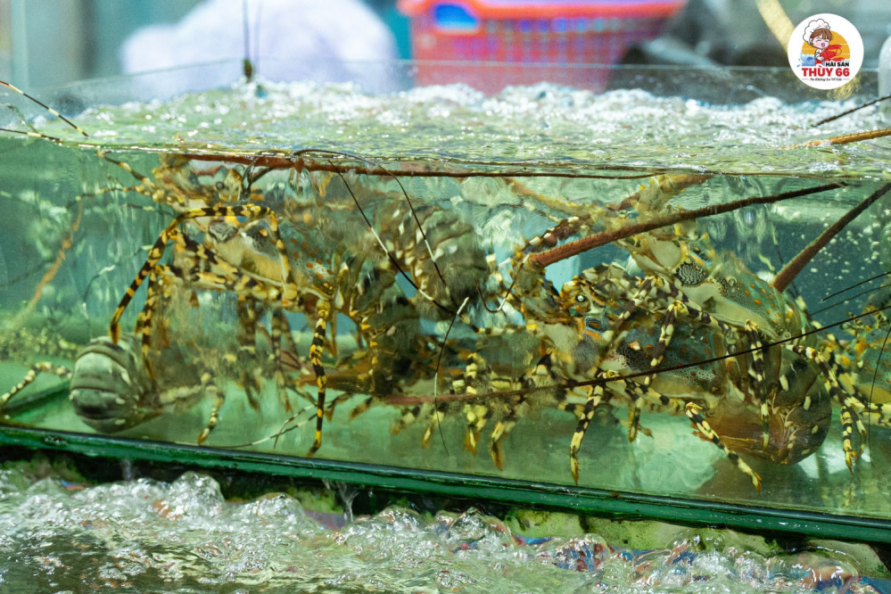 Nhà Hàng Hải sản Thùy 66