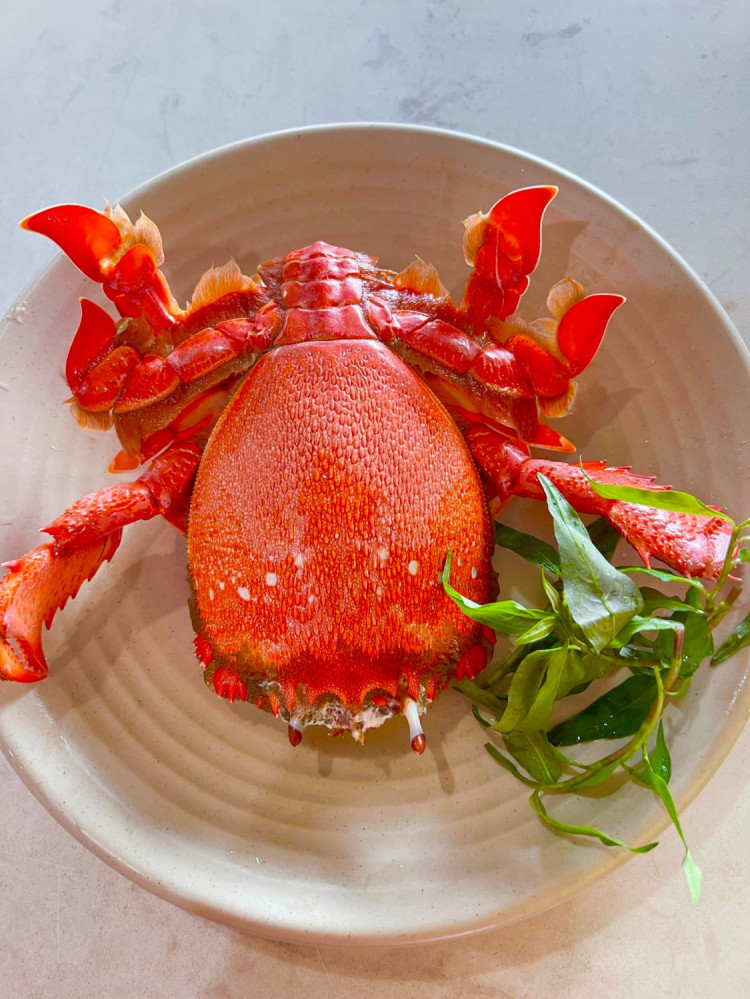 Nhà Hàng Hải sản Thùy 66