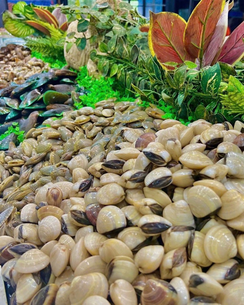 Buffet Zallo Viễn Triều