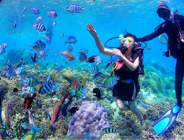 du lich nha trang co gi 16 0