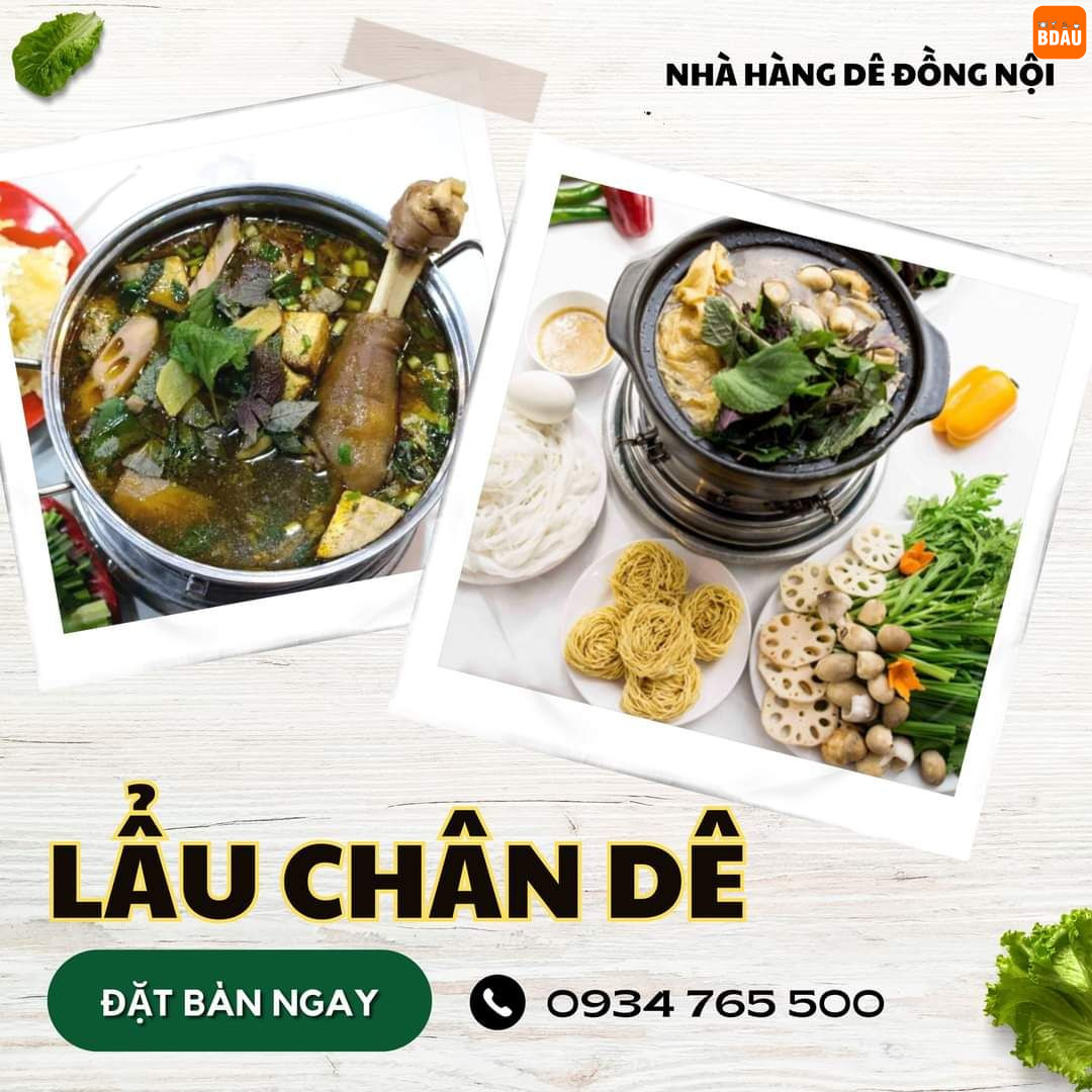 dong noi