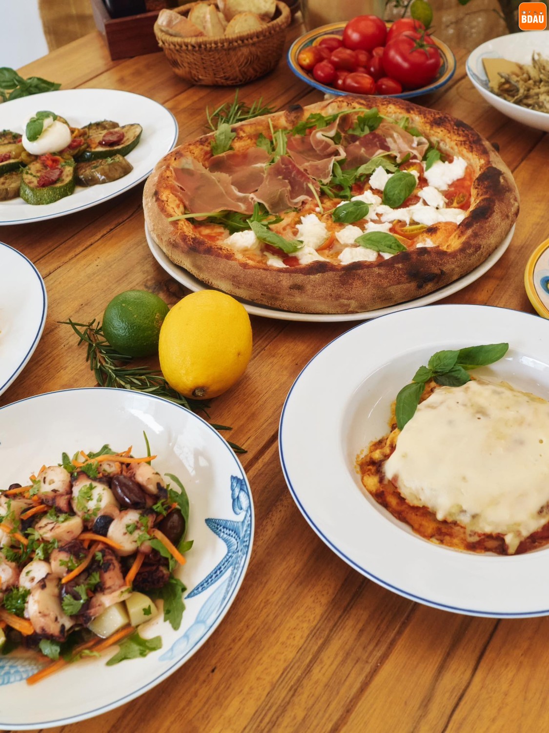 496803527 1271439944981484 7348450205642348490 n