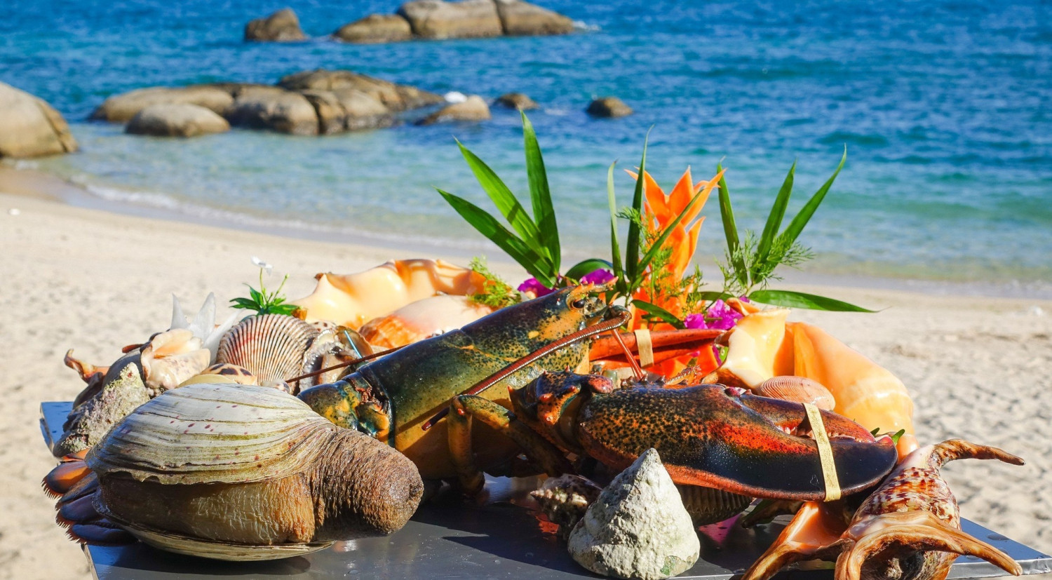 Nhà hàng Hải Âu - Hòn Cò Cà Ná